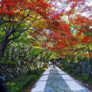 湖東三山 金剛輪寺、紅葉、11月秋、滋賀県愛知郡の観光・撮影スポットの名所