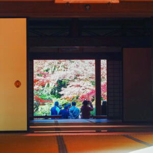 湖東三山 金剛輪寺、紅葉、11月秋、滋賀県愛知郡の観光・撮影スポットの名所