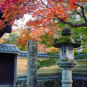 湖東三山 金剛輪寺、紅葉、11月秋、滋賀県愛知郡の観光・撮影スポットの名所