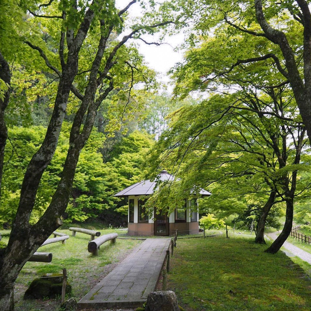 鶏足寺 、新緑・夏景色、6月夏、滋賀県長浜市の観光・撮影スポットの名所