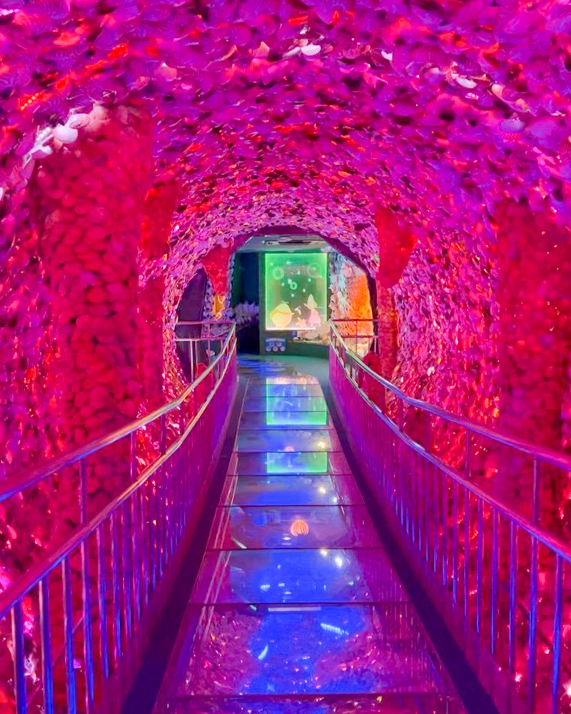 竹島ファンタジー館、時空のトンネル、大小5500万個の貝、テーマパーク、愛知県蒲郡市の観光・撮影スポットの名所
