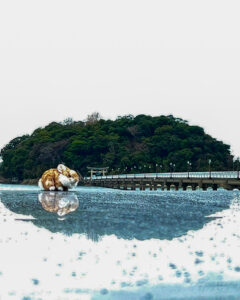 竹島、椅子の反射リフレクション、ウユニ湖みたい、3月春の花、愛知県蒲郡市の観光・撮影スポットの名所