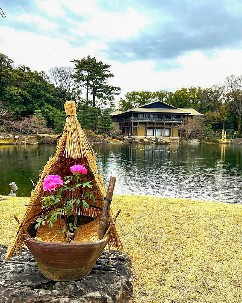 徳川園、冬牡丹、2月の冬の花、名古屋市東区の観光・撮影スポットの画像と写真