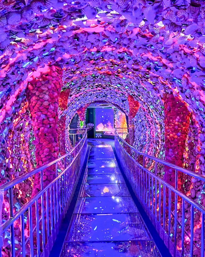 竹島ファンタジー館、時空のトンネル、大小5500万個の貝、テーマパーク、愛知県蒲郡市の観光・撮影スポットの名所