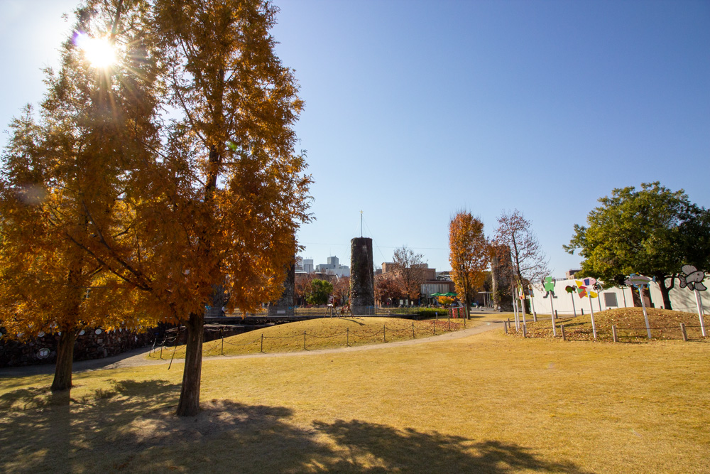 ノリタケの森、メタセコイア、黄葉、紅葉、11月秋、名古屋市西区の観光・撮影スポットの名所