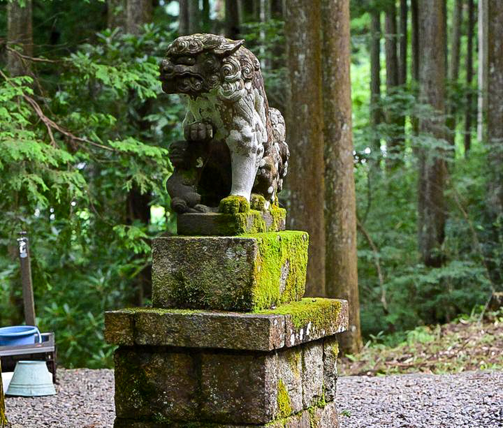 モネの池、根道神社、岐阜県関市の観光・撮影スポットの名所