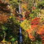 五宝滝、紅葉、11月秋、岐阜県加茂郡の観光・撮影スポットの名所