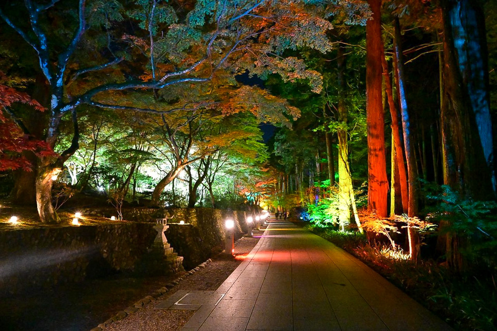 法多山尊永寺、ライトアップ、11月秋、静岡県袋井市の観光・撮影スポットの名所