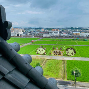 尾張旭市田んぼアート、城山公園、7月夏、愛知県尾張旭市の観光・撮影スポットの名所