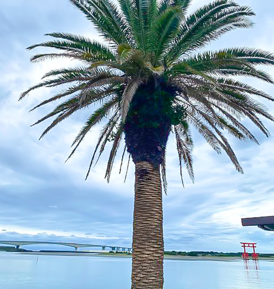 弁天島海浜公園 、11月秋、静岡県浜松市の観光・撮影スポットの名所