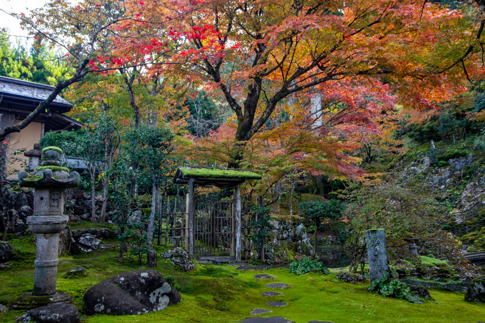 慈恩禅寺、紅葉、日本庭園、11月秋、岐阜県郡上市の観光撮影スポットの名所