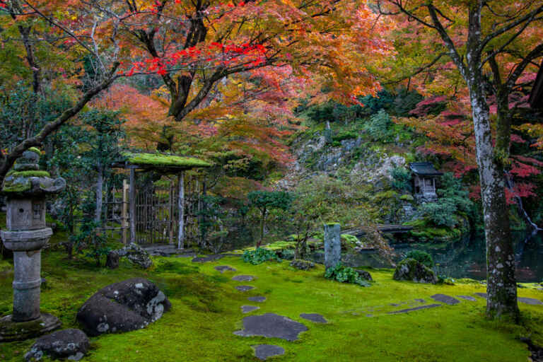 慈恩禅寺(紅葉)岐阜県郡上市の観光・撮影スポットの名所 東海カメラマップ