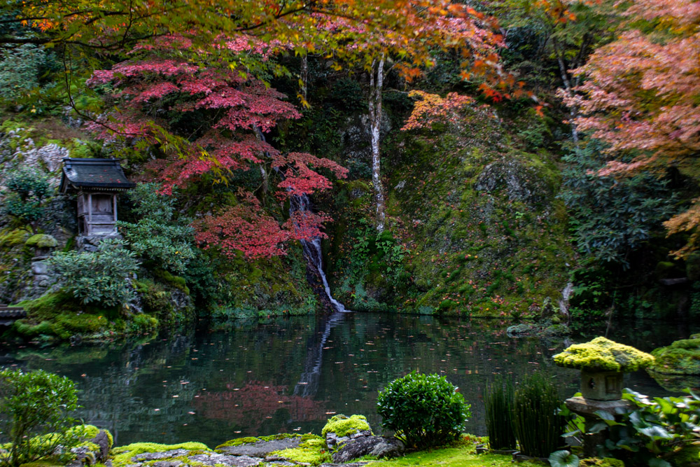 慈恩禅寺、紅葉、日本庭園、11月秋、岐阜県郡上市の観光撮影スポットの名所