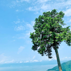 八幡山城跡、夏、2021年6月、滋賀県近江八幡市の観光・撮影スポットの名所