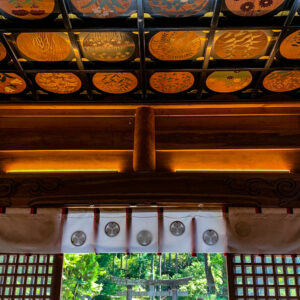 松平郷・松平東照宮、天井画、8月夏、愛知県豊田市の観光・撮影スポットの名所