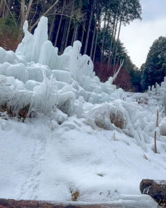 豊田市稲武　氷瀑　大井平公園　湧水広場　2月　愛知県豊田市の観光・撮影スポットの画像と写真