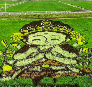 南陽町田んぼアート、7月夏、名古屋市港区の観光・撮影スポットの名所