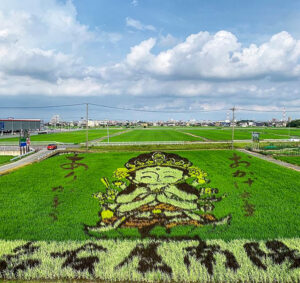 南陽町田んぼアート、7月夏、名古屋市港区の観光・撮影スポットの名所