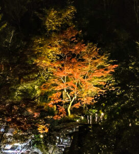 穴弘法、紅葉、ライトアップ、11月秋、岐阜県土岐市の観光・撮影スポットの画像と写真