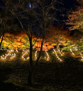 穴弘法、紅葉、ライトアップ、11月秋、岐阜県土岐市の観光・撮影スポットの画像と写真