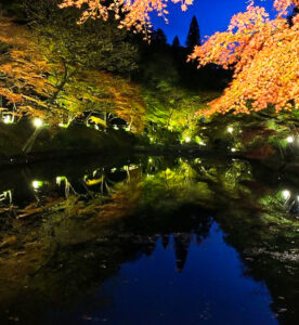 穴弘法、紅葉、ライトアップ、11月秋、岐阜県土岐市の観光・撮影スポットの画像と写真