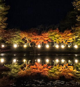 穴弘法、紅葉、ライトアップ、11月秋、岐阜県土岐市の観光・撮影スポットの画像と写真