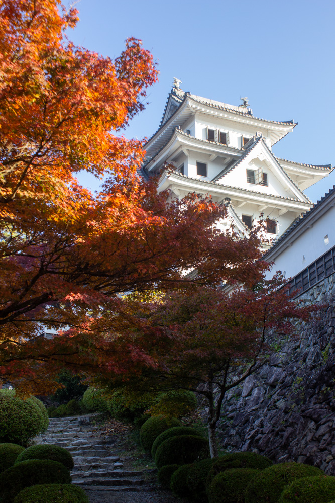 郡上八幡城、紅葉、11月秋、岐阜県郡上市の観光・撮影スポットの画像と写真