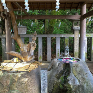 酒見神社、花手水舎、あじさい、6月夏、愛知県一宮市の観光・撮影スポットの名所