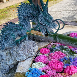 酒見神社、花手水舎、あじさい、6月夏、愛知県一宮市の観光・撮影スポットの名所