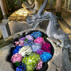 酒見神社、花手水舎、あじさい、6月夏、愛知県一宮市の観光・撮影スポットの名所