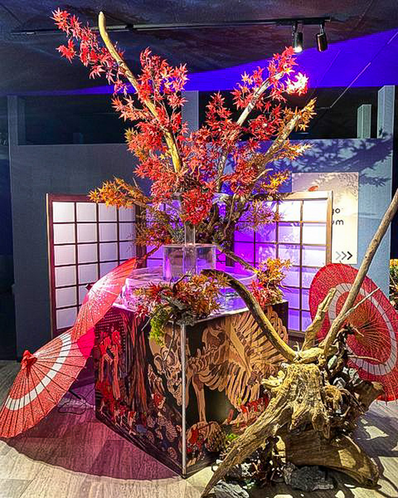 金魚ミュージアム、テーマパーク、博物館、2021年8月、奈良県奈良市の観光・撮影スポットの名所