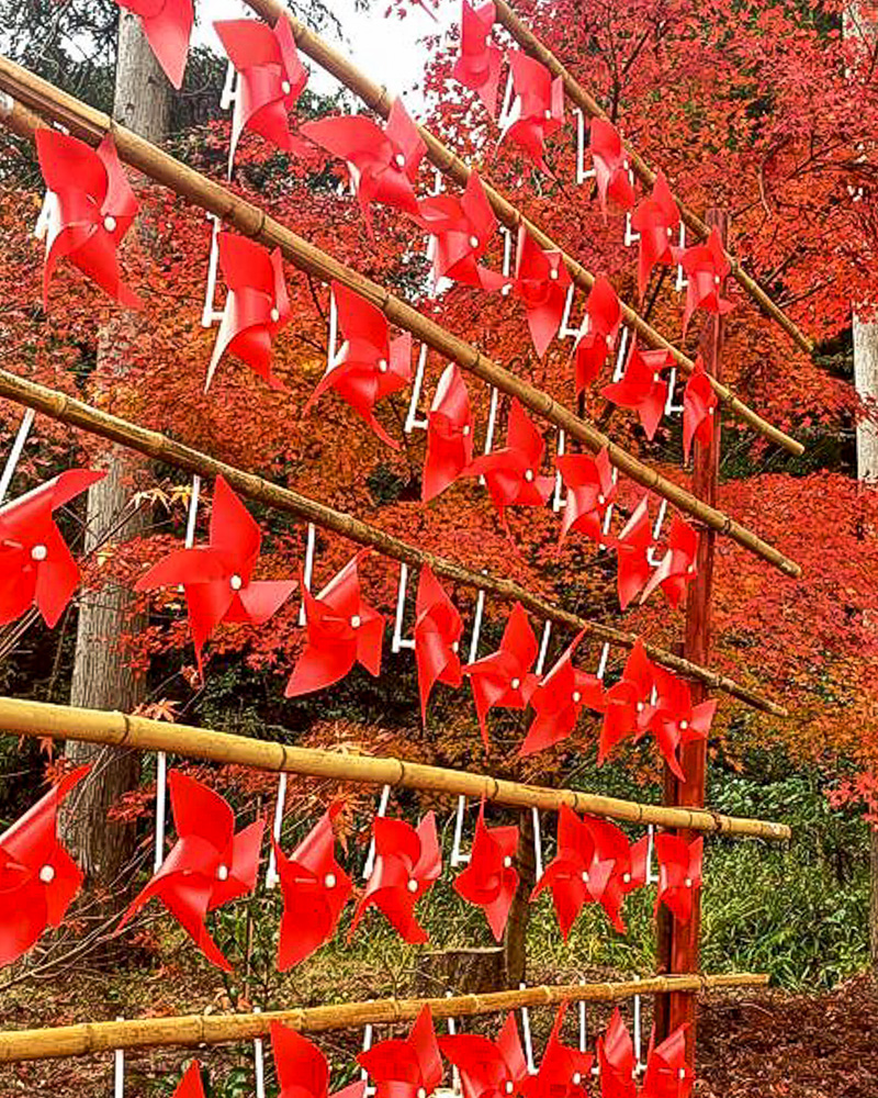 長寿寺 、11月秋、滋賀県湖南市の観光・撮影スポットの名所