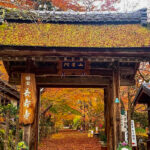 長寿寺 、紅葉、11月秋、滋賀県湖南市の観光・撮影スポットの名所