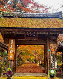 長寿寺 、紅葉、11月秋、滋賀県湖南市の観光・撮影スポットの名所