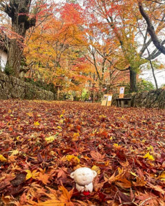 長寿寺 、紅葉、11月秋、滋賀県湖南市の観光・撮影スポットの名所