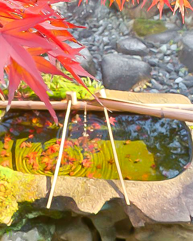 六華苑、紅葉、花手水、11月秋、三重県桑名市の観光・撮影スポットの画像と写真