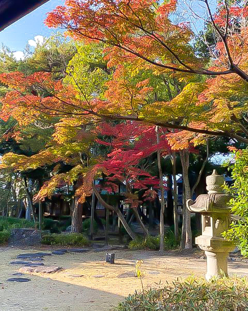 六華苑、紅葉、11月秋、三重県桑名市の観光・撮影スポットの画像と写真