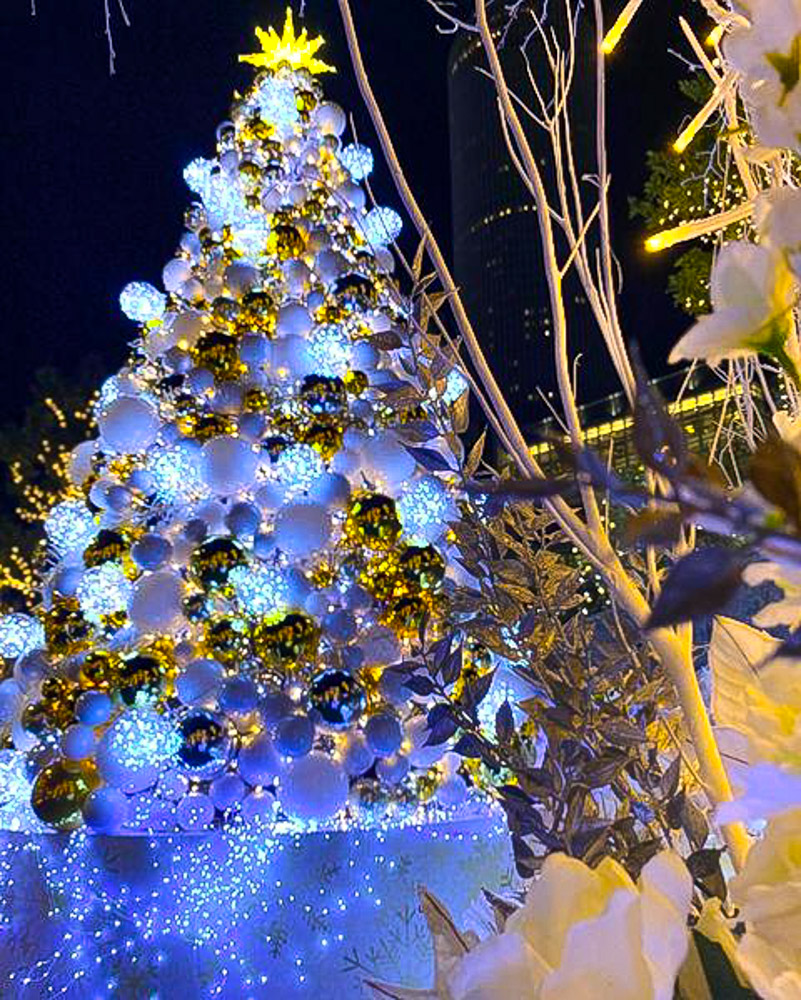 大名古屋ビルヂング、クリスマスイルミネーション、１２月冬、名古屋市中村区の観光・撮影スポットの名所
