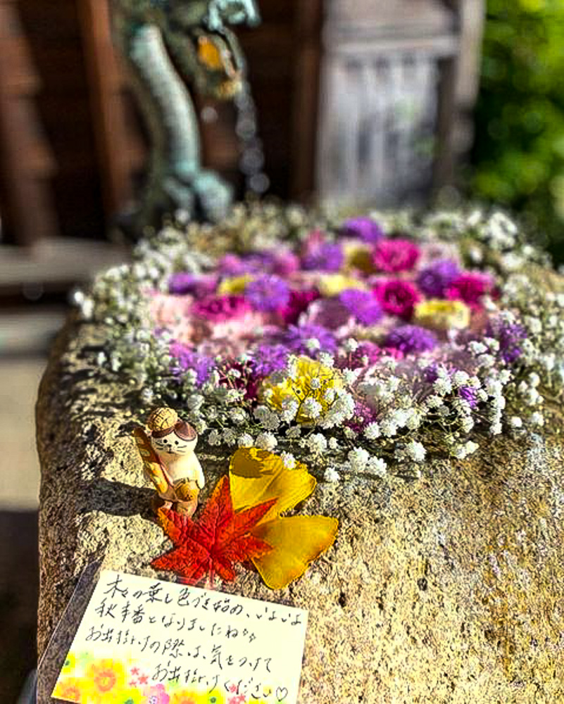 御井神社、花手水舎、11月秋、岐阜県各務原市の観光・撮影スポットの名所