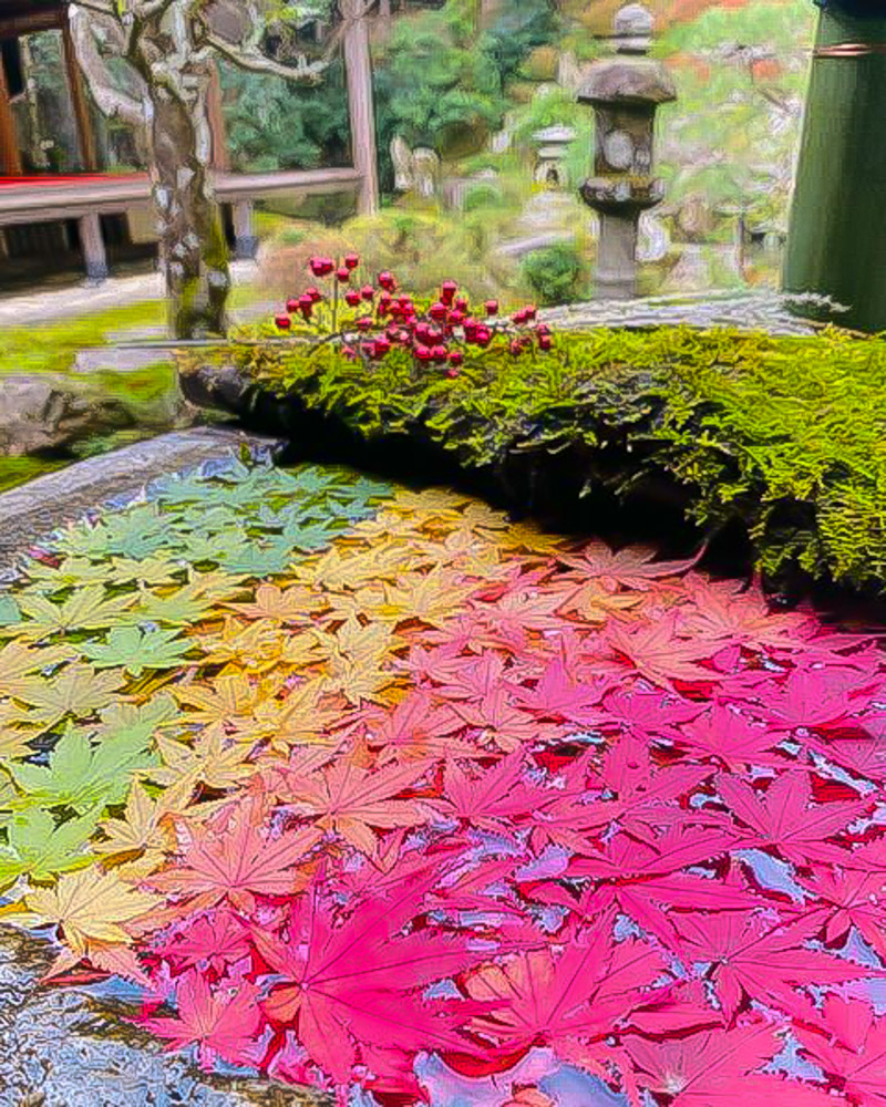 柳谷観音・楊谷寺、、紅葉、花手水、京都府長岡京市の観光・撮影スポットの名所