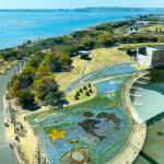 浜名湖ガーデンパーク、ネモフィラ、展望塔、4月春の花、静岡県浜松市の観光・撮影スポットの名所
