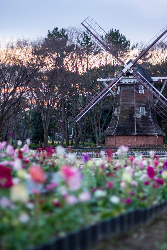 名城公園、単焦点50ｍｍ撮影、風景撮影、1月春の撮影、名古屋市北区の観光・撮影スポットの名所