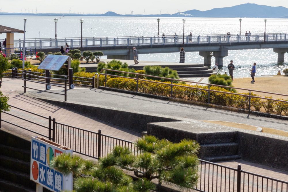 蒲郡・竹島、ユリカモメ、鳥や動く被写体の撮影、シャッタースピード優先モード、1月冬、愛知県蒲郡市の観光・撮影スポットの名所