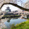清州城、桜、3月の春の花、愛知県清須市の観光・撮影スポットの画像と写真
