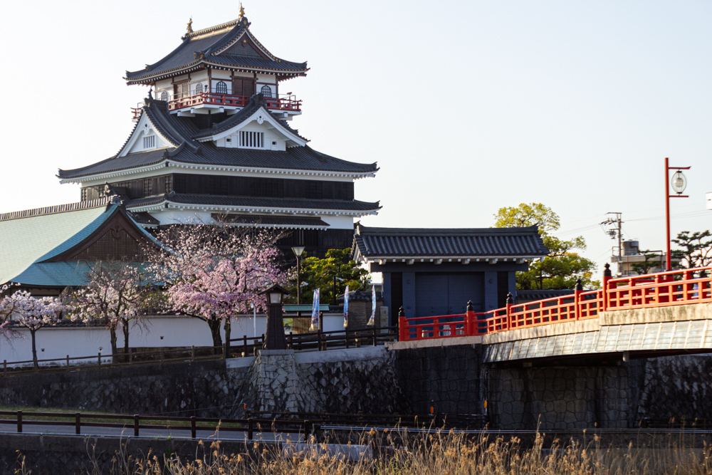 清州城、桜、3月の春の花、愛知県清須市の観光・撮影スポットの画像と写真