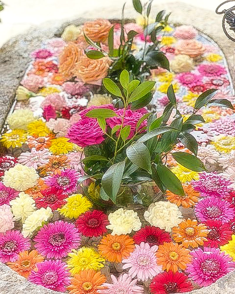 別小江神社、花手水舎、バラ・ガーベラ、10月夏の花、名古屋市北区の観光・撮影スポットの画像と写真