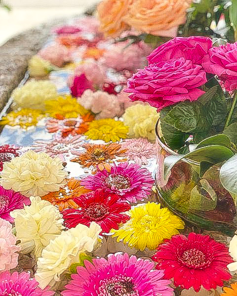 別小江神社、花手水舎、バラ・ガーベラ、10月夏の花、名古屋市北区の観光・撮影スポットの画像と写真