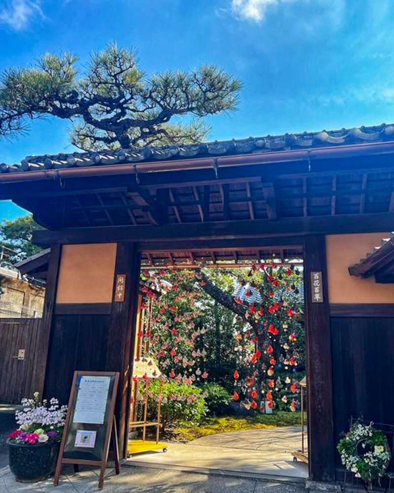 文化のみち百花百草、つるし雛、ひな祭り、2月春、名古屋市東区の観光・撮影スポットの名所