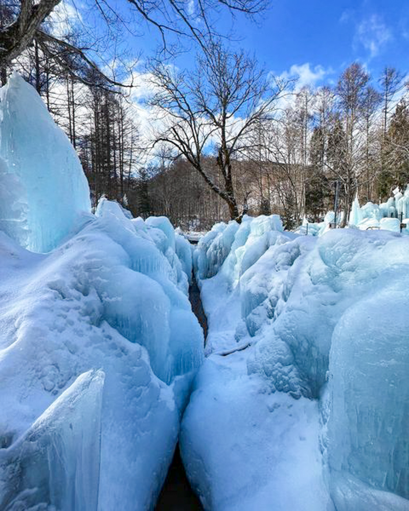 氷点下の森、冬・雪景色、2月の冬、岐阜県高山市の観光・撮影スポットの画像と写真