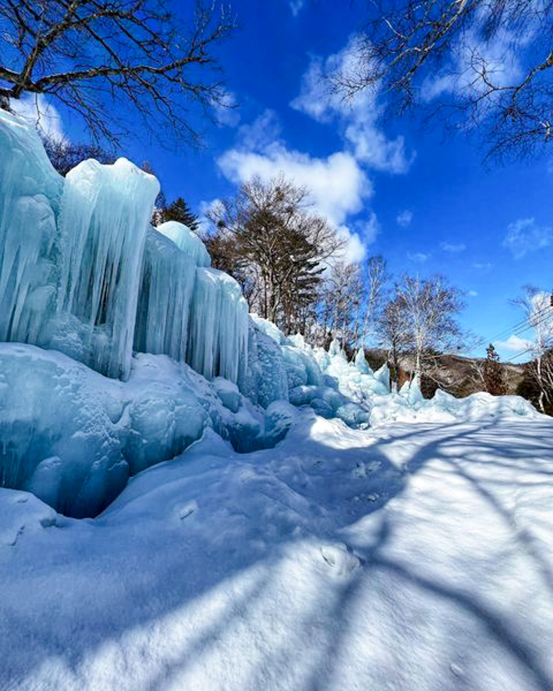 氷点下の森、冬・雪景色、2月の冬、岐阜県高山市の観光・撮影スポットの画像と写真